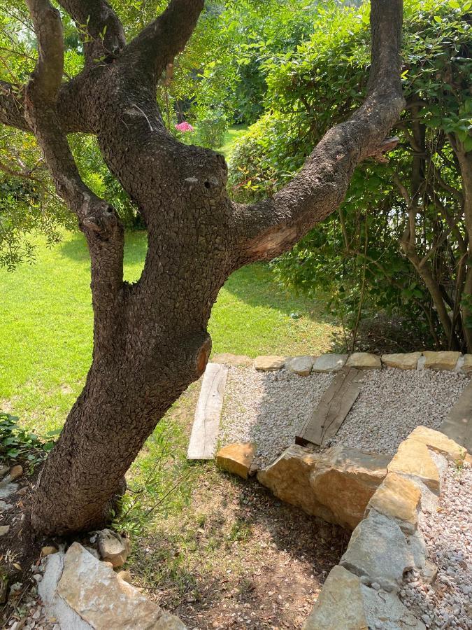 Le Clos Serein Le Beausset Εξωτερικό φωτογραφία