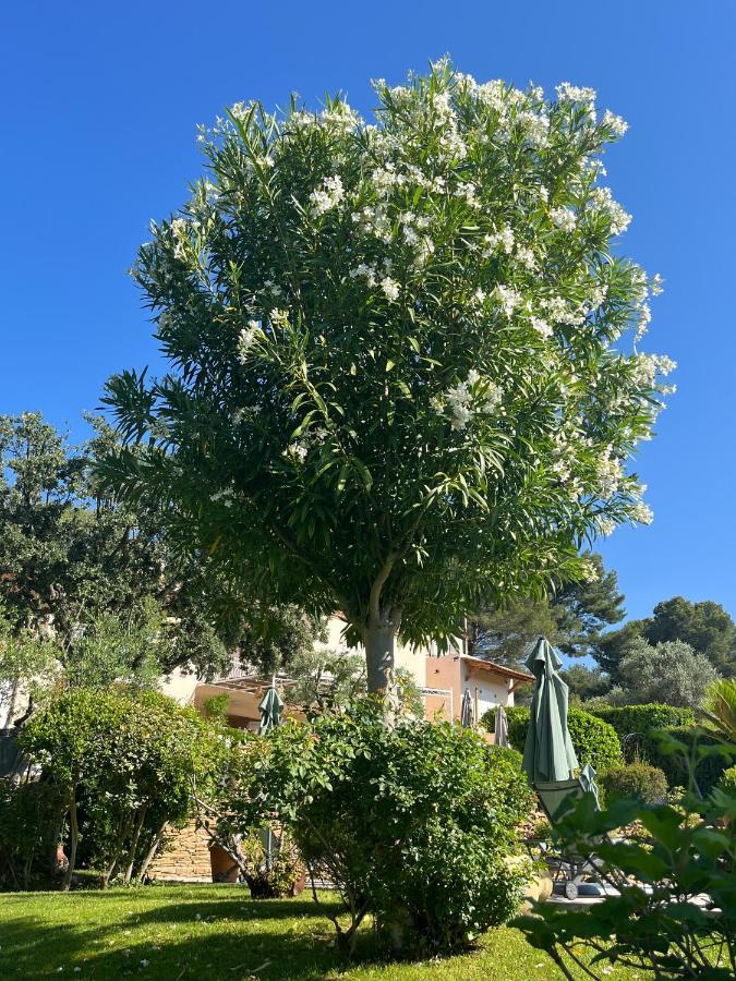 Le Clos Serein Le Beausset Εξωτερικό φωτογραφία