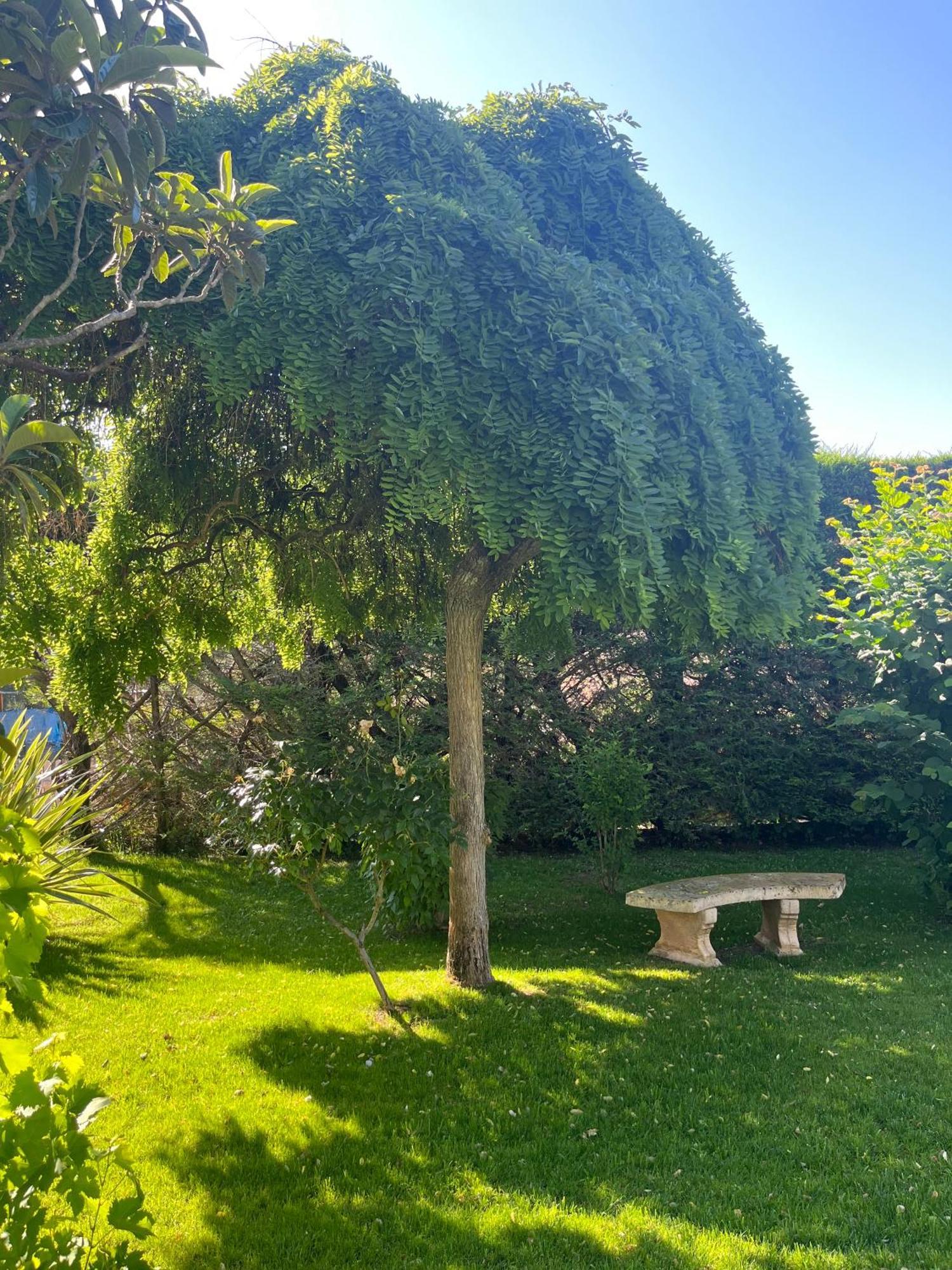 Le Clos Serein Le Beausset Εξωτερικό φωτογραφία